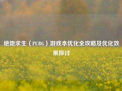 绝地求生（PUBG）游戏本优化全攻略及优化效果探讨