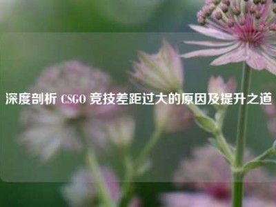 深度剖析 CSGO 竞技差距过大的原因及提升之道