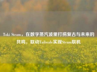 Toki Steam，在数字蒸汽波里打捞复古与未来的共鸣，联动Tailscale实现Steam联机