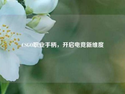 CSGO职业手柄，开启电竞新维度
