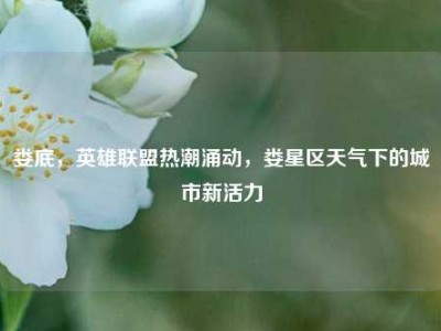 娄底，英雄联盟热潮涌动，娄星区天气下的城市新活力