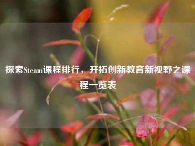 探索Steam课程排行，开拓创新教育新视野之课程一览表