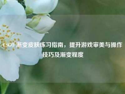 CSGO 渐变皮肤练习指南，提升游戏审美与操作技巧及渐变程度