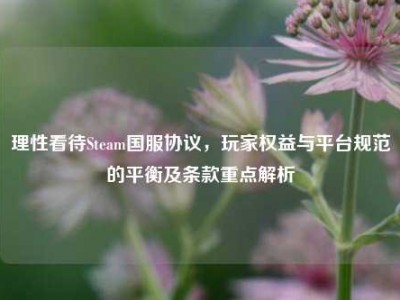 理性看待Steam国服协议，玩家权益与平台规范的平衡及条款重点解析