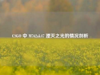 CSGO 中 M762ak47 湮灭之光的情况剖析
