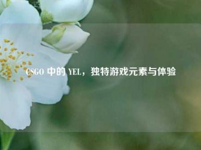 CSGO 中的 YEL，独特游戏元素与体验