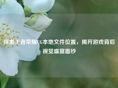 探索王者荣耀CG本地文件位置，揭开游戏背后视觉盛宴面纱
