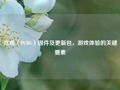 吃鸡（PUBG）固件及更新包，游戏体验的关键要素