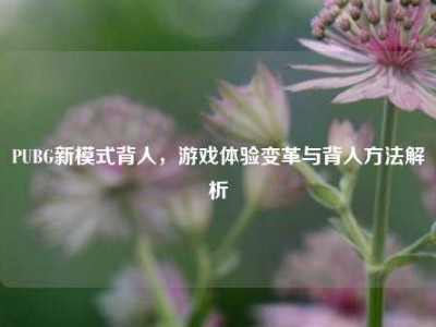 PUBG新模式背人，游戏体验变革与背人方法解析