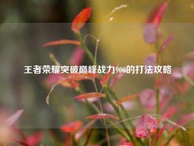 王者荣耀突破巅峰战力900的打法攻略