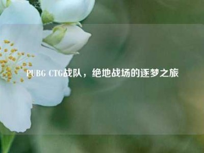 PUBG CTG战队，绝地战场的逐梦之旅