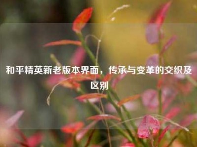 和平精英新老版本界面，传承与变革的交织及区别