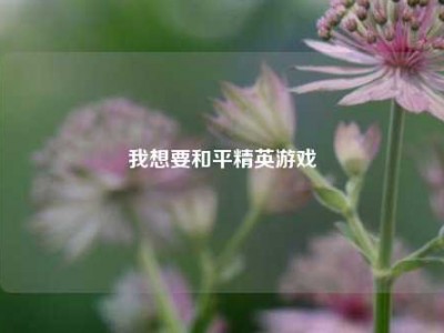我想要和平精英游戏