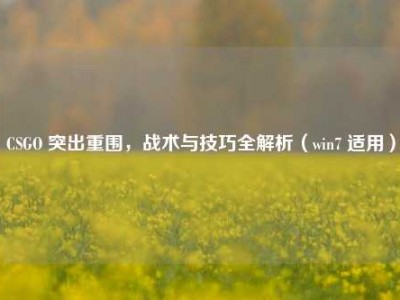 CSGO 突出重围，战术与技巧全解析（win7 适用）