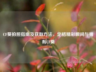 CF葵拍照指南及获取方法，定格精彩瞬间与拥有CF葵