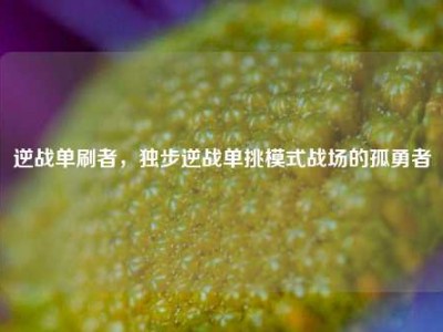 逆战单刷者，独步逆战单挑模式战场的孤勇者