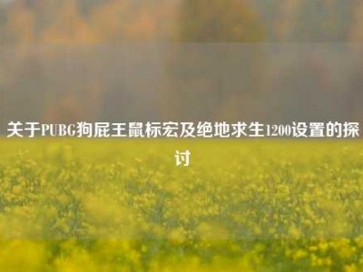 关于PUBG狗屁王鼠标宏及绝地求生1200设置的探讨