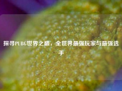 探寻PUBG世界之巅，全世界最强玩家与最强选手