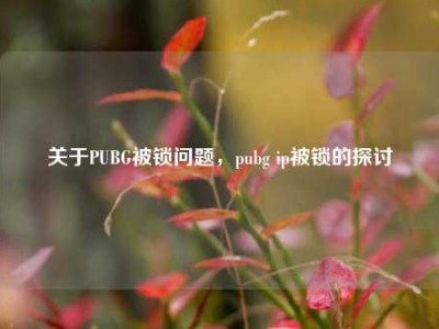 关于PUBG被锁问题，pubg ip被锁的探讨