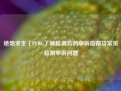 绝地求生（PUBG）被检测后的申诉指南及常见检测申诉问题