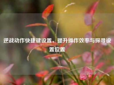 逆战动作快捷键设置，提升操作效率与探寻设置位置