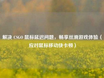 解决 CSGO 鼠标延迟问题，畅享丝滑游戏体验（应对鼠标移动快卡顿）