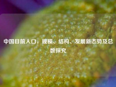 中国目前人口，规模、结构、发展新态势及总数探究