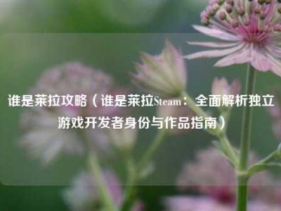 谁是莱拉攻略（谁是莱拉Steam：全面解析独立游戏开发者身份与作品指南）