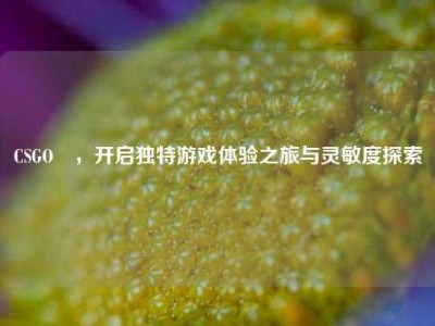 CSGO澪，开启独特游戏体验之旅与灵敏度探索