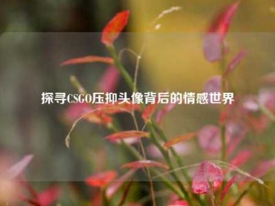 探寻CSGO压抑头像背后的情感世界