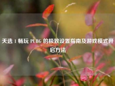 天选 1 畅玩 PUBG 的极致设置指南及游戏模式开启方法