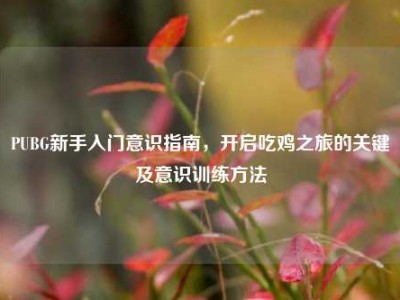 PUBG新手入门意识指南，开启吃鸡之旅的关键及意识训练方法