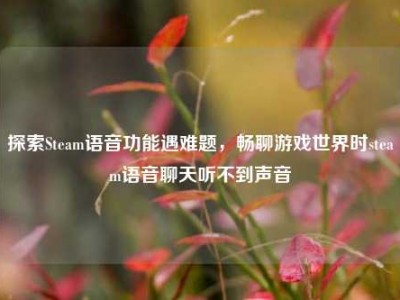 探索Steam语音功能遇难题，畅聊游戏世界时steam语音聊天听不到声音