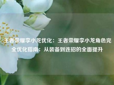 王者荣耀李小龙优化：王者荣耀李小龙角色完全优化指南：从装备到连招的全面提升