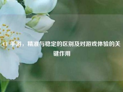 CF 手游，精准与稳定的区别及对游戏体验的关键作用