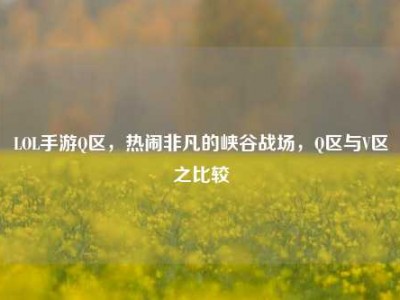 LOL手游Q区，热闹非凡的峡谷战场，Q区与V区之比较