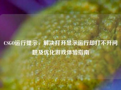 CSGO运行提示，解决打开显示运行却打不开问题及优化游戏体验指南