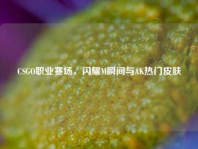 CSGO职业赛场，闪耀M瞬间与AK热门皮肤
