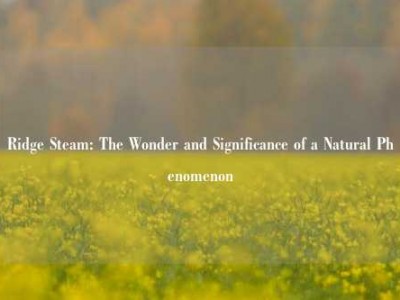 Ridge Steam: The Wonder and Significance of a Natural Phenomenon