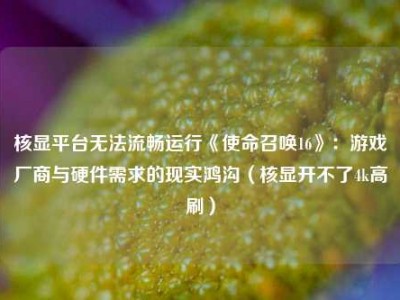 核显平台无法流畅运行《使命召唤16》：游戏厂商与硬件需求的现实鸿沟（核显开不了4k高刷）