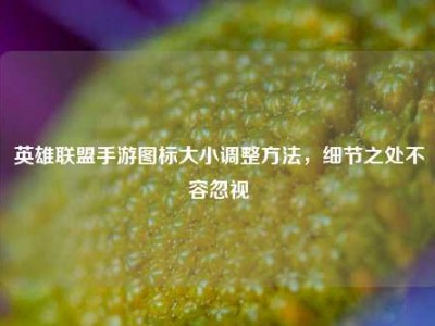 英雄联盟手游图标大小调整方法，细节之处不容忽视