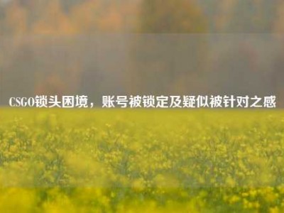 CSGO锁头困境，账号被锁定及疑似被针对之感