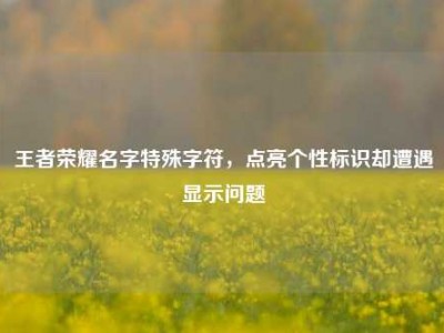 王者荣耀名字特殊字符，点亮个性标识却遭遇显示问题