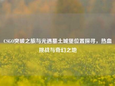 CSGO突破之旅与光遇墓土城堡位置探寻，热血挑战与奇幻之地