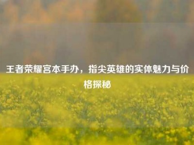 王者荣耀宫本手办，指尖英雄的实体魅力与价格探秘