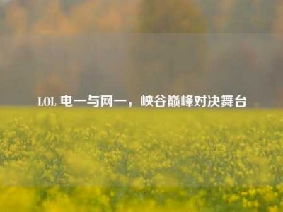 LOL 电一与网一，峡谷巅峰对决舞台