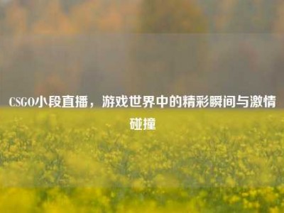 CSGO小段直播，游戏世界中的精彩瞬间与激情碰撞