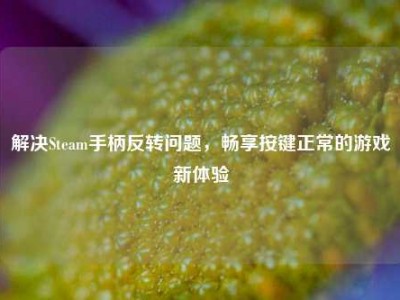 解决Steam手柄反转问题，畅享按键正常的游戏新体验