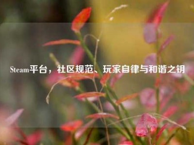 Steam平台，社区规范、玩家自律与和谐之钥