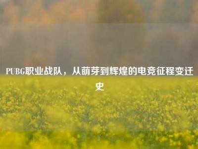 PUBG职业战队，从萌芽到辉煌的电竞征程变迁史